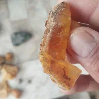 کهربا