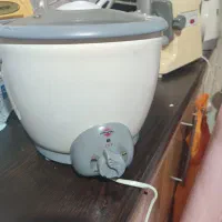 لوازم برقی سالم چرخ گوشت سرخ کن پلوپز آبمیوهگیری|ظروف پختوپز|محمدشهر, سیدآباد|دیوار