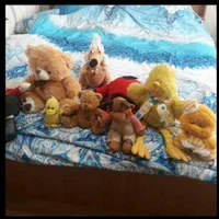 عروسک|اسباب‌‌بازی|ساری, |دیوار