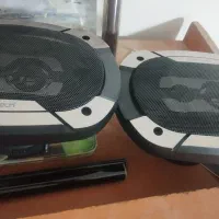 یک جفت باند پایونر