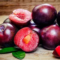 پک 18عددی نهال های میوه گلدانی کاشت تابستانی|خدمات باغبانی و درختکاری|یزد, |دیوار