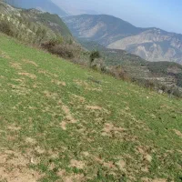 زمین فروشی پاقلعه|فروش زمین و ملک کلنگی|رامیان, |دیوار