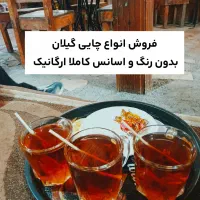 انواع چایی های شمال
