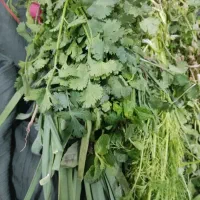 پاک کردن سبزی