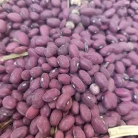 فروش تخم کدو آجیلی لوبیا قرمز