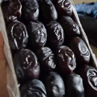 خرما مضافتی