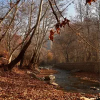 کیف قهوه ای گمشده