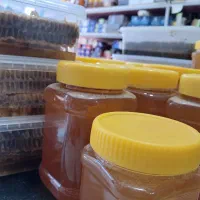 عسل طبیعی روستای هاسون بزرگ