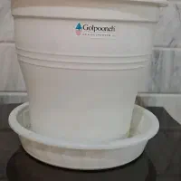 گلدان|گل و گیاه طبیعی|قم, هفت تیر|دیوار