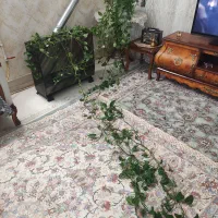 گل بزرگ