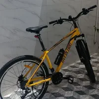 دوچرخه سایز 29