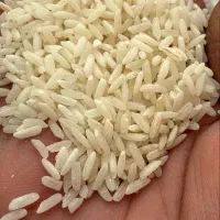 پخش عمده برنج تایلندی اروگوئه وهومالی|خوردنی و آشامیدنی|کرمانشاه, |دیوار