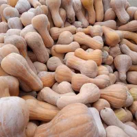 کدو حلوای درجه یک