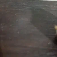 خدمات منزل و نگهداری از کودک