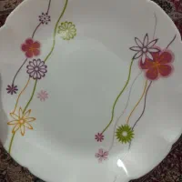 این نمونه آرکوپال دارم