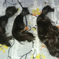 فروش موی های  طبیعی