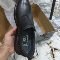کفش|کیف، کفش، کمربند|اهواز, کوی جانبازان(دانش)|دیوار