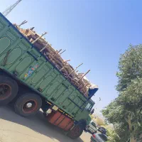 خریدانواع چوب|خدمات باغبانی و درختکاری|جیرفت, |دیوار