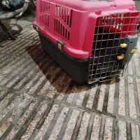 باکس سگ
