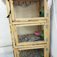 گنج کفتر