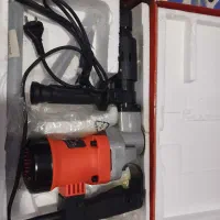 پیکور و دلر پیکوری