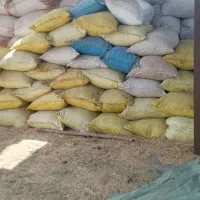 کاه‌یونجه‌خرد‌شده|خدمات باغبانی و درختکاری|جیرفت, |دیوار