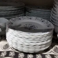 فروش سرویس آرکوپال