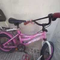 دوعدوچرخه