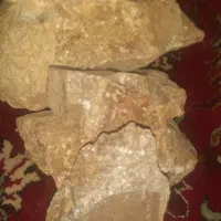 پریت  باذرات طلا