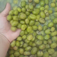 زیتون سفید روغنی طارم