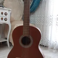 گیتار پارسی حرفه ای p40