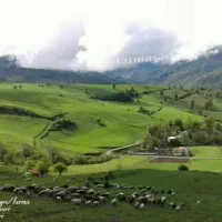زمین  ۲۱۹ متر