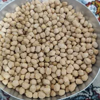 نخود ۸۰۰کیلو