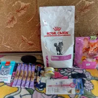 تعدادی غذا و وسایل گربه بفروش میرسد