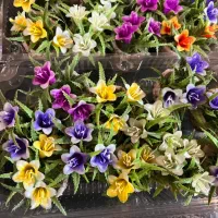 گلدان روز مادر و یلدا|گل مصنوعی|آفتاب, |دیوار