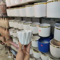 گلدان کاکتوسی سایز کوچک سرامیکی سرامیک ساکولنت|گل و گیاه طبیعی|قم, نیروگاه|دیوار
