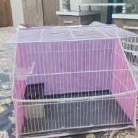 قفس|لوازم جانبی حیوانات|مشهد, نظام دوست|دیوار