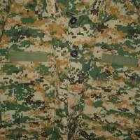 لباس نظامی|لباس|رباط‌کریم, شترخوار|دیوار