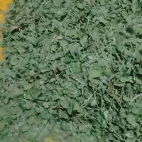 آویشن بصورت عمده بفروش میرسد