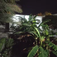 سرایداری و کار درمنزل