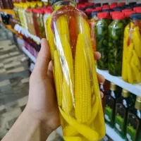 پخش ترشی|عمدهفروشی|قم, طلاب غیر ایرانی|دیوار