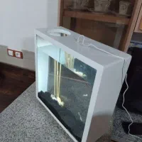 اکواریوم مدرن|ماهی|کرمان, |دیوار