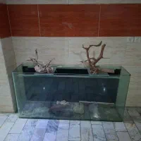 باکس آکواریم شیشه ای جنس عالی