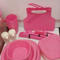 ظرف مسافرتی