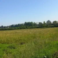 فروش زمین زراعی و مسکونی جاده فخب وخیابان عرفان ۱|فروش زمین و ملک کلنگی|پیربازار, |دیوار