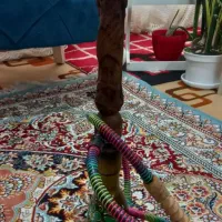 قیلون
