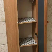 جاکفشی ایستاده