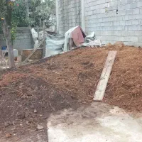 پهن گاو|لوازم جانبی حیوانات|تالش, هشتپر|دیوار