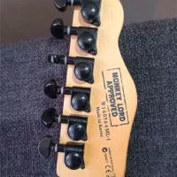 گیتار الکتریک Chapman ML-1 نسخه محدود|گیتار، بیس، امپلیفایر|تهران, الهیه|دیوار