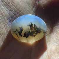 شجر نگین|جواهرات|زرند, |دیوار